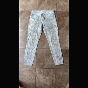 Gently Worn Animal Print Express Jeans